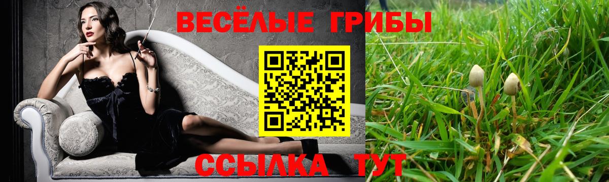 Набережные Челны  Галлюциногенные грибы прущие грибы  купить закладку  Вход с VPN 